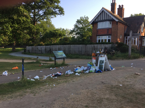 Richmond Park Litter