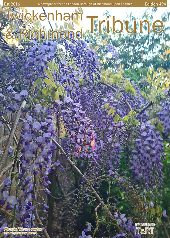 Twickenham And Richmond Tribune